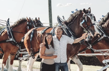 Couple in front of Clydesdale horses